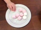 marshmallow 5