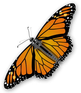 jimmiet, A colourful monarch butterfly   https://openclipart.org/detail/19002/monarch-butterfly