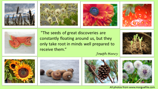 Joseph Henry - seeds of discovery