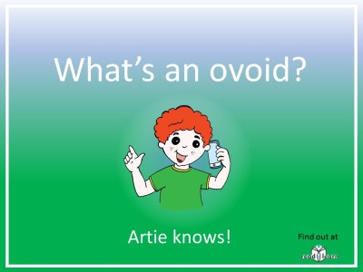 what's an ovoid