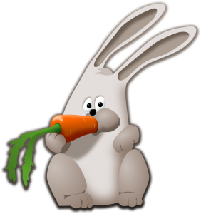 bunny eating carrot public domain picture