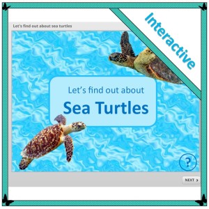 Let's find out abut sea turtles is an interactive digital non-fiction texts about sea turtles, for children in their first three years of school