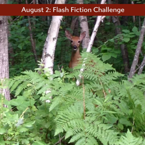 Peering from the woods, Charli Mills flash fiction Carrot Ranch