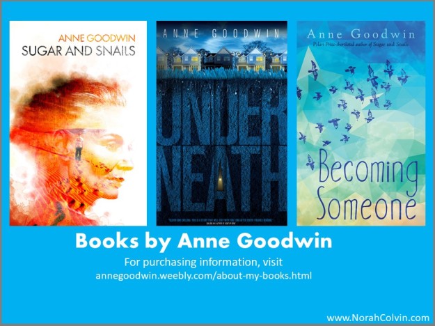 Books by Anne Goodwin