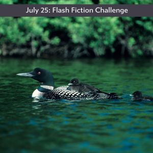 Carrot Ranch flash fiction challenge - for one day