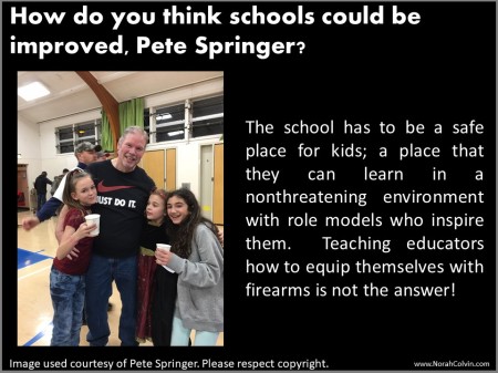 Pete Springer on how schools could be improved