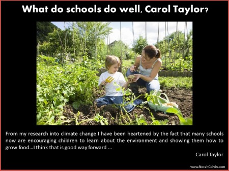 Carol Taylor on what schools do well
