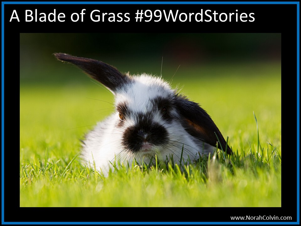 A Blade of Grass #99WordStories