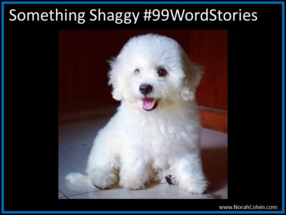 Something Shaggy #99Word Stories